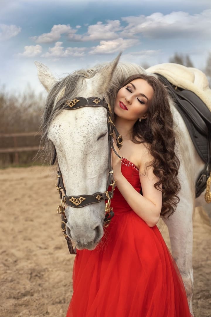 Фотосессия с фризской лошадью на улице, мягкий свет