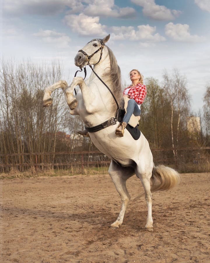 Фотограф Александра Ильина — фотосессия с лошадьми в Москве
