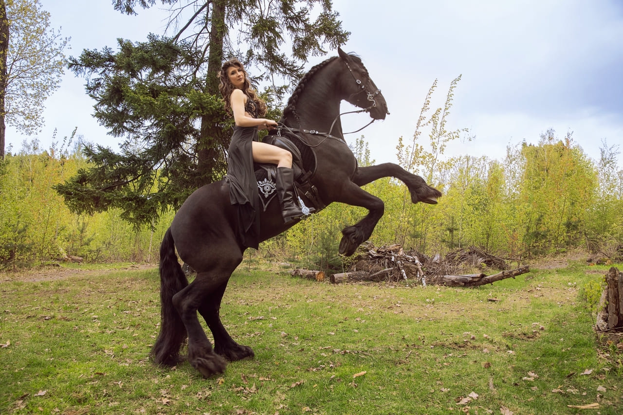 Фотосессия верхом на фризской лошади по лесной тропе в Москве