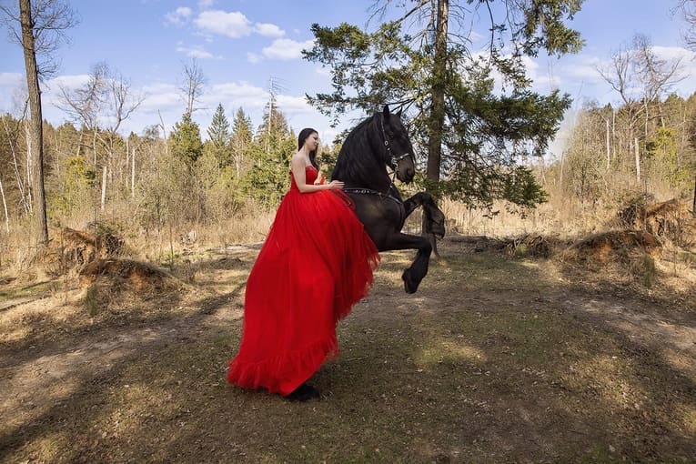 Фотосессия с лошадью в поле под Москвой — летняя съемка в длинном платье