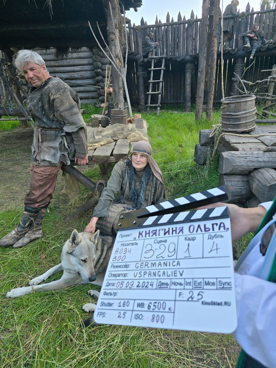 Волки для фотосессии снимались в сериале Княгиня Ольга — дрессированные хищники