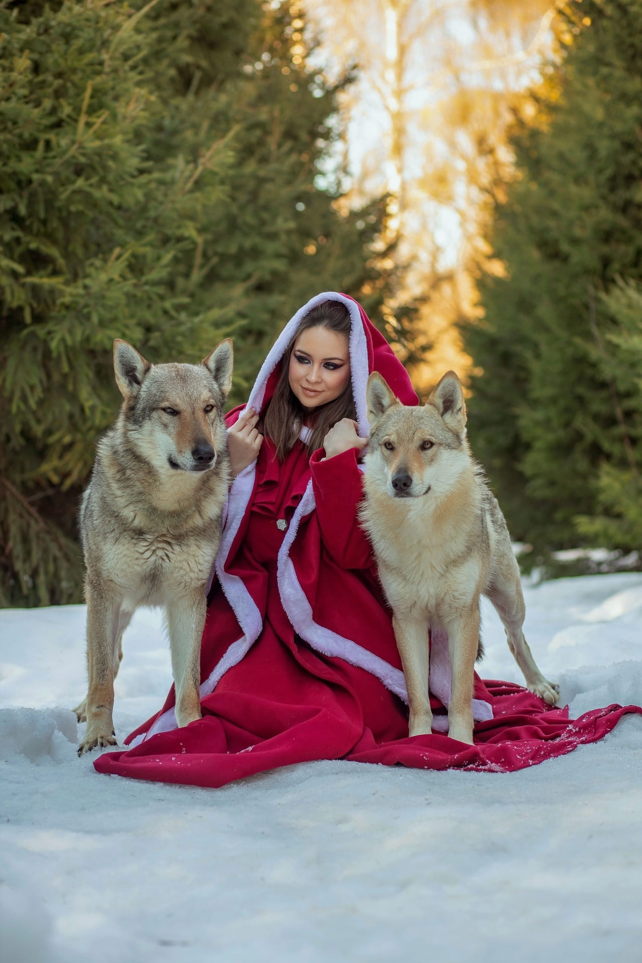 Сказочная фотосессия с волками в Москве — образ Красной Шапочки на заснеженной поляне