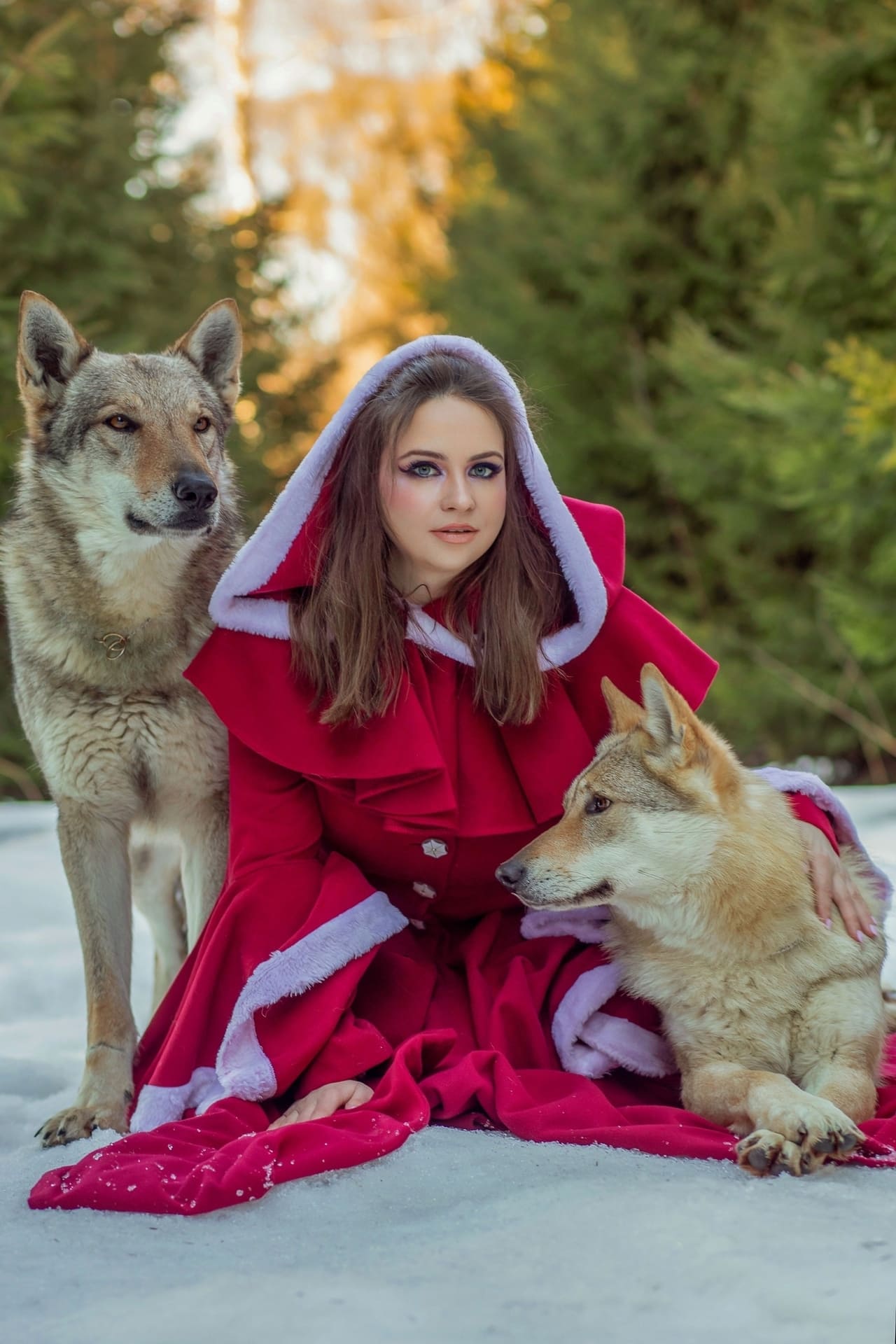 Девушка гладит волка на фотосессии — тактильный контакт с дрессированным влчаком
